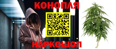 спайс Славгород