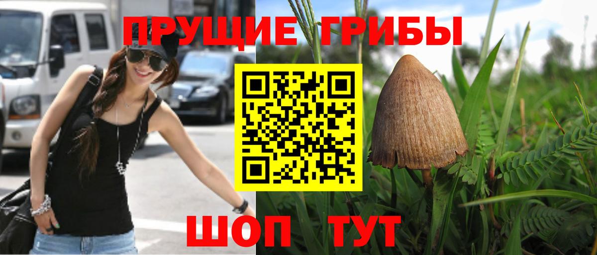 магазин продажи наркотиков  Псилоцибиновые грибы Magic Shrooms  Астрахань  Вход с VPN  Галлюциногенные грибы GOLDEN TEACHER 